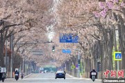 邵阳共建“花园城市” 北京这场议政会“百花齐放”