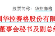 邵阳华控赛格董事长、董秘、副总经理三高管同日辞职